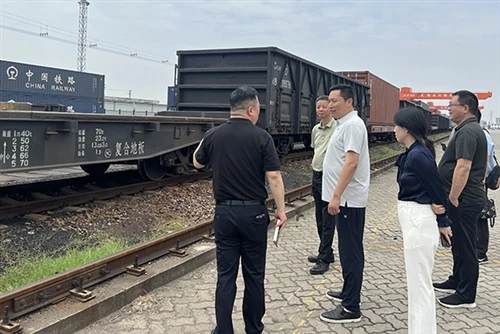 Exploring New International Logistics Channels | JMJD Conducts A Logistics In...